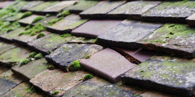 Sawston roof repair costs
